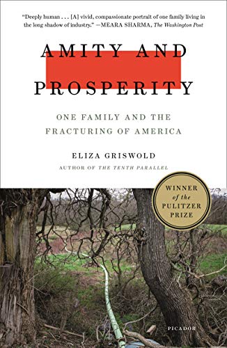 Beispielbild fr Amity and Prosperity: One Family and the Fracturing of America zum Verkauf von Gulf Coast Books