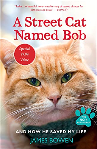 Beispielbild fr A Street Cat Named Bob: And How He Saved My Life zum Verkauf von SecondSale