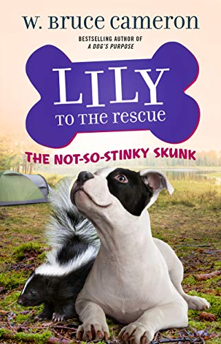 Beispielbild fr Lily to the Rescue: The Not-So-Stinky Skunk zum Verkauf von Blackwell's