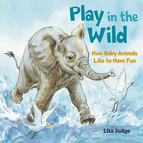 Beispielbild fr Play in the Wild : How Baby Animals Like to Have Fun zum Verkauf von Better World Books