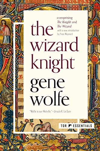 Beispielbild fr The Wizard Knight zum Verkauf von Blackwell's