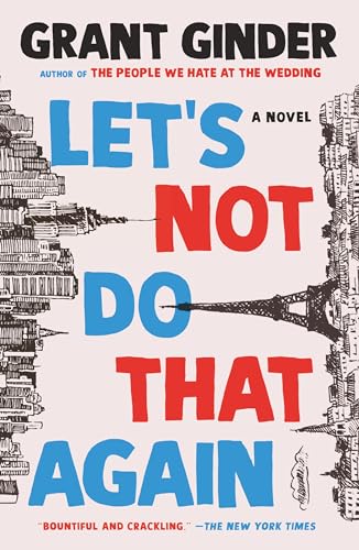 9781250243782: Let's Not Do That Again: A Novel