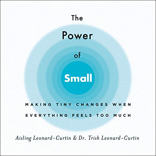 Beispielbild fr The Power of Small: Making Tiny Changes When Everything Feels Too Much zum Verkauf von SecondSale