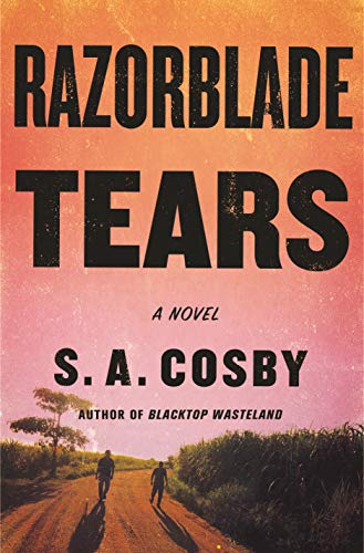 Stock image for Razorblade Tears for sale by The Book Garden