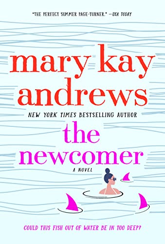 9781250256942: The Newcomer: A Novel