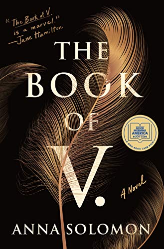 Stock image for The Book of V.: A Novel for sale by Gulf Coast Books