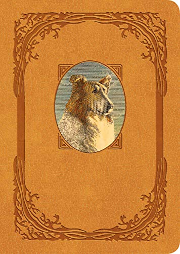 Stock image for Lassie Come-Home: Collector's Edition for sale by HPB-Ruby