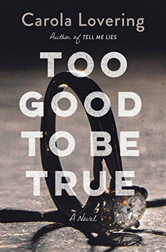 Beispielbild fr Too Good to Be True: A Novel zum Verkauf von BooksRun