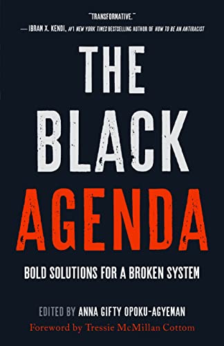 Beispielbild fr The Black Agenda: Bold Solutions for a Broken System zum Verkauf von SecondSale