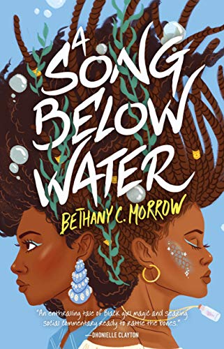 Imagen de archivo de A Song Below Water: A Novel a la venta por SecondSale