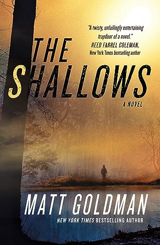 9781250323682: The Shallows: A Nils Shapiro Novel (Nils Shapiro, 3)