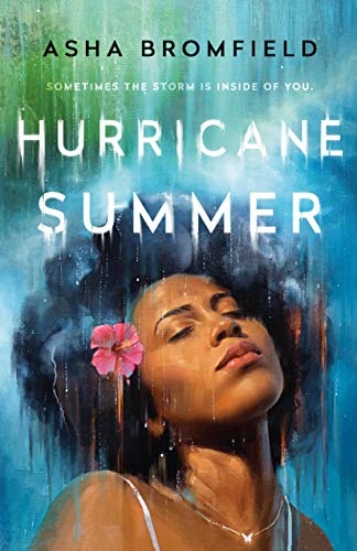 Beispielbild fr Hurricane Summer zum Verkauf von ThriftBooks-Reno
