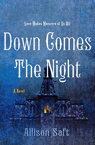 Stock image for Down Comes the Night: A Novel for sale by Dream Books Co.