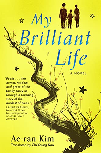 Stock image for My Brilliant Life for sale by HPB-Emerald
