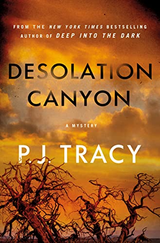 Beispielbild fr Desolation Canyon : A Mystery zum Verkauf von Better World Books