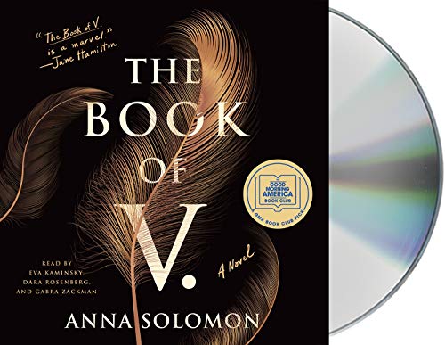 Stock image for The Book of V.: A Novel for sale by PlumCircle