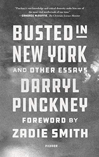 Imagen de archivo de Busted in New York and Other Essays a la venta por Bookoutlet1