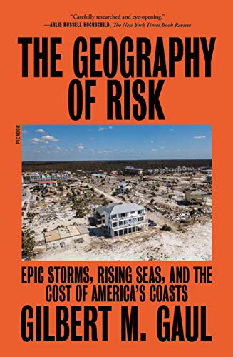 Stock image for Geography of Risk for sale by HPB-Movies