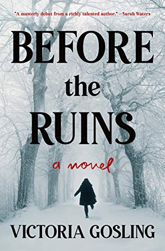 Beispielbild fr Before the Ruins: A Novel zum Verkauf von Gulf Coast Books