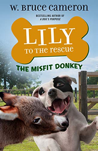 Stock image for Lily to the Rescue: The Misfit Donkey (Lily to the Rescue!, 6) for sale by Your Online Bookstore