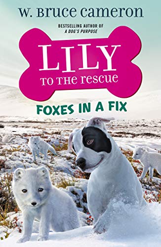 Imagen de archivo de Lily to the Rescue: Foxes in a Fix a la venta por PBShop.store US