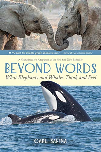 Beispielbild fr Beyond Words: What Elephants and Whales Think and Feel (A Young R (Beyond Words, 1) zum Verkauf von PlumCircle