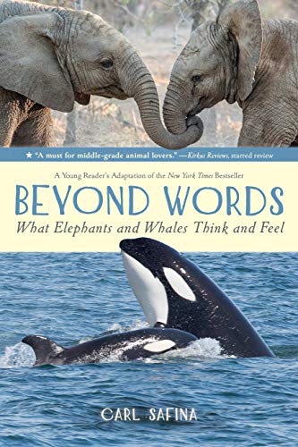 9781250763525: Beyond Words: What Elephants and Whales Think and Feel (A Young R: A Young Reader's Adaptation