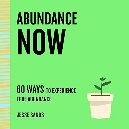 Stock image for Abundance Now: 60 Ways to Experience True Abundance (The Now Series) for sale by SecondSale