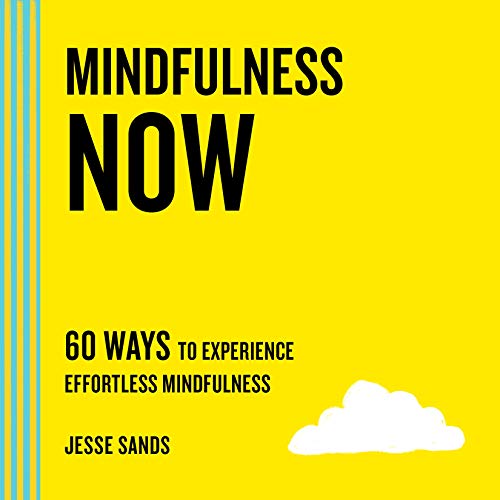Imagen de archivo de Mindfulness Now: 60 Ways to Experience Effortless Mindfulness (The Now Series) a la venta por BooksRun