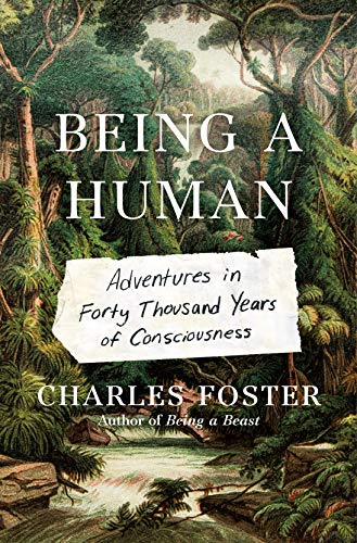 Imagen de archivo de Being a Human: Adventures in Forty Thousand Years of Consciousness a la venta por Open Books