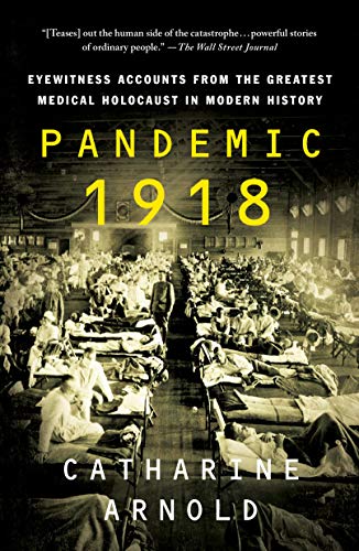 Imagen de archivo de Pandemic 1918: Eyewitness Accounts from the Greatest Medical Holocaust in Modern History a la venta por ZBK Books