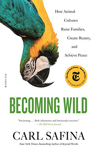 Stock image for Becoming Wild for sale by Goodwill Books