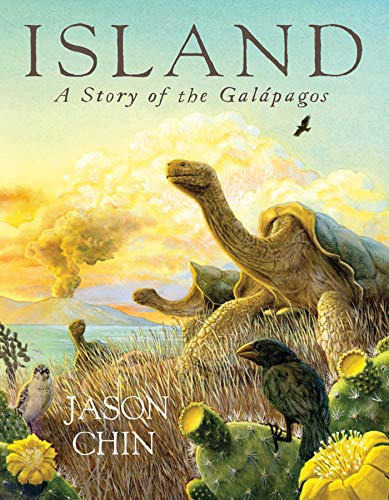 Beispielbild fr Island: A Story of the Galápagos zum Verkauf von BooksRun