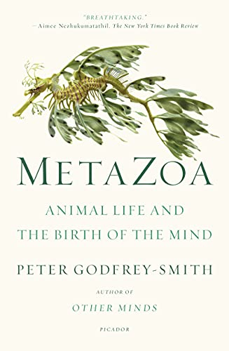 Beispielbild fr Metazoa: Animal Life and the Birth of the Mind zum Verkauf von A Team Books