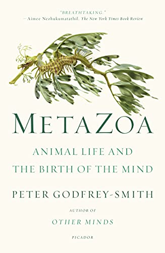 Stock image for Metazoa: Animal Life and the Birth of the Mind for sale by Bookoutlet1