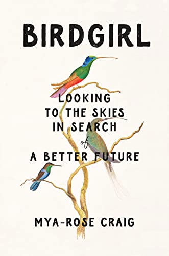 Stock image for Birdgirl: Looking to the Skies in Search of a Better Future for sale by ZBK Books