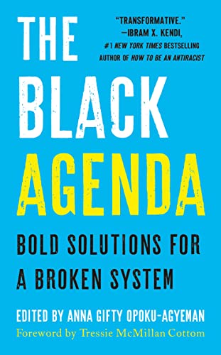 Beispielbild fr The Black Agenda: Bold Solutions for a Broken System zum Verkauf von BookOutlet