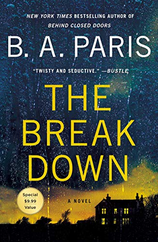 Imagen de archivo de The Breakdown : A Novel a la venta por Better World Books