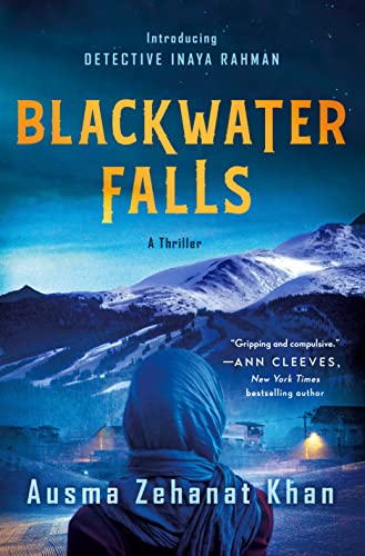 9781250822383: Blackwater Falls: A Thriller: 1