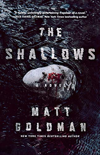 9781250823304: The Shallows: A Nils Shapiro Novel (Nils Shapiro, 3)