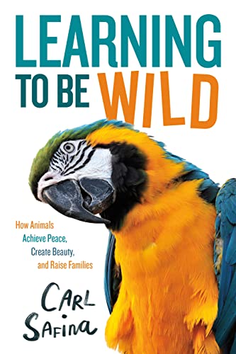 Imagen de archivo de Learning to Be Wild (A Young Readers Adaptation): How Animals Achieve Peace, Create Beauty, and Raise Families a la venta por Big River Books