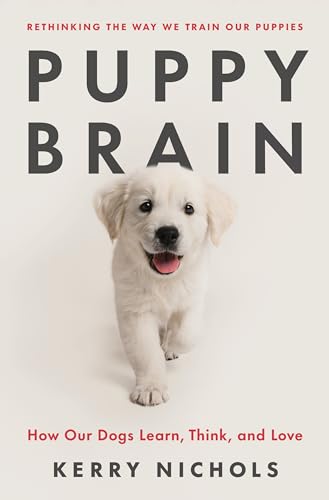 Beispielbild fr Puppy Brain zum Verkauf von Blackwell's