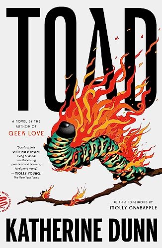 9781250872296: Toad: A Novel