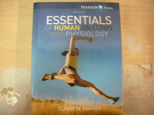 Imagen de archivo de Essentials of Human Anatomy and Physiology 10th Edition Texas Edition a la venta por HPB-Red