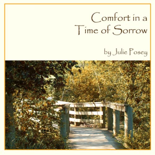 Stock image for Comfort in a Time of Sorrow for sale by Revaluation Books