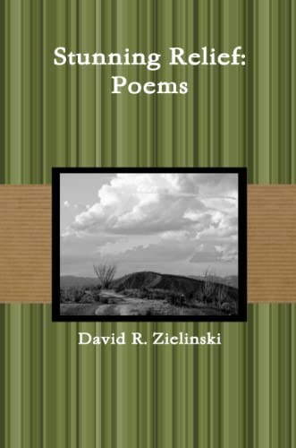 Stock image for Stunning Relief: Poems for sale by Revaluation Books