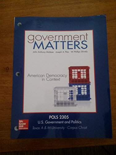 Beispielbild fr Government Matters: American Democracy in Context zum Verkauf von HPB-Red