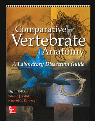 Beispielbild fr COMPARATIVE VERTEBRATE ANAT.:LAB.GDE. zum Verkauf von BooksRun