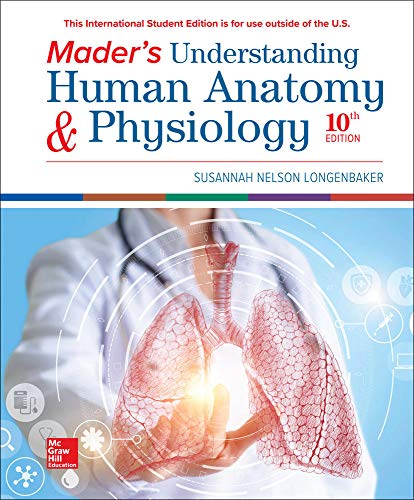 Stock image for Mader's Understanding Human Anatomy Physiology (Mader's Understanding Human Anatomy and Physiology) for sale by Byrd Books