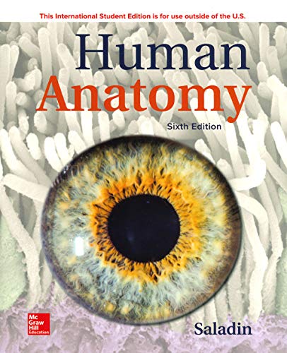 Stock image for Human Anatomy for sale by booksdeck